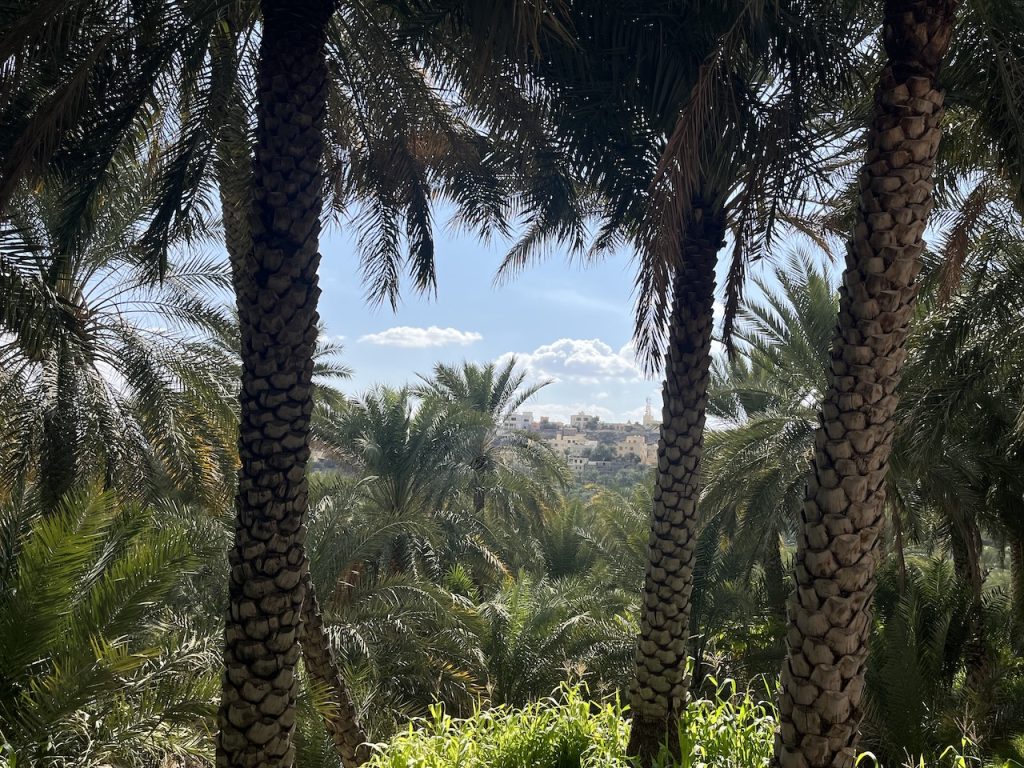 THAT PRETTY MOUNTAIN VILLAGE IN OMAN : MISFAT AL-ABRIYEEN